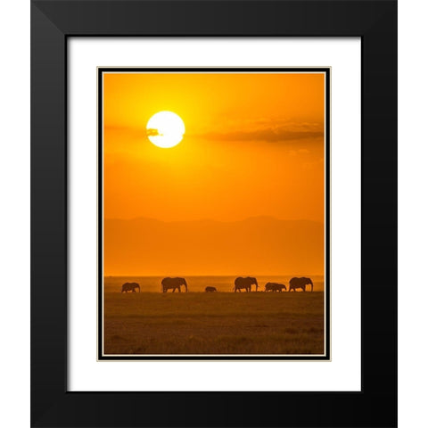 Elephants At Sunset Black Modern Wood Framed Art Print with Double Matting by Taylor, Ted