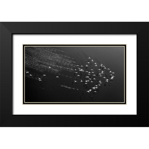 Take Off Black Modern Wood Framed Art Print with Double Matting by Fan, John