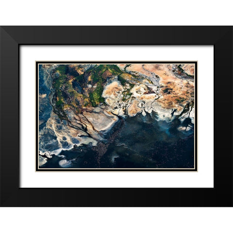 Splendid Africa Black Modern Wood Framed Art Print with Double Matting by Fan, John