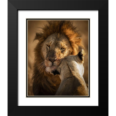 Give Me Some Love Black Modern Wood Framed Art Print with Double Matting by Alnomas, Faisal