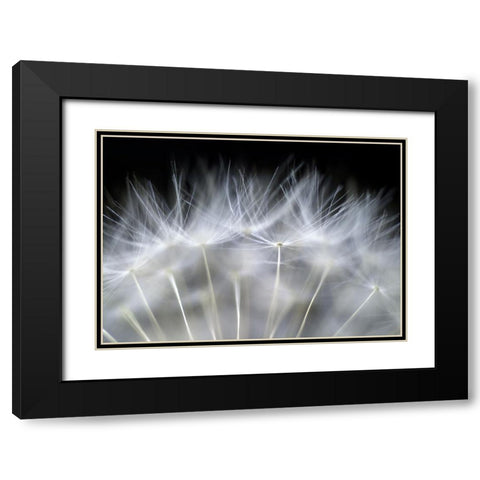 Blow It Black Modern Wood Framed Art Print with Double Matting by Fallberg, Peter