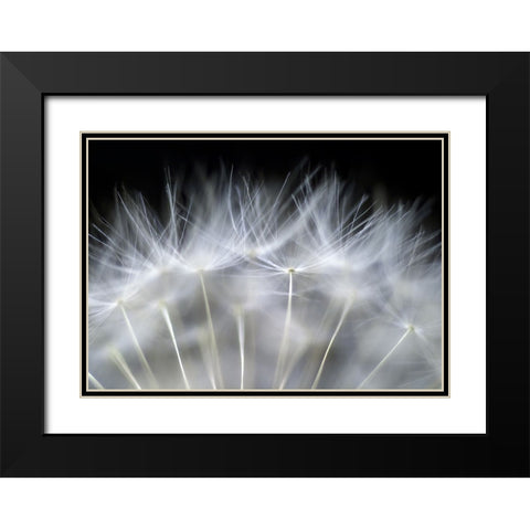 Blow It Black Modern Wood Framed Art Print with Double Matting by Fallberg, Peter