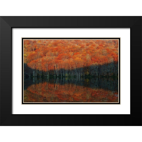 Shadow Fade Away Black Modern Wood Framed Art Print with Double Matting by Shibata, Sho