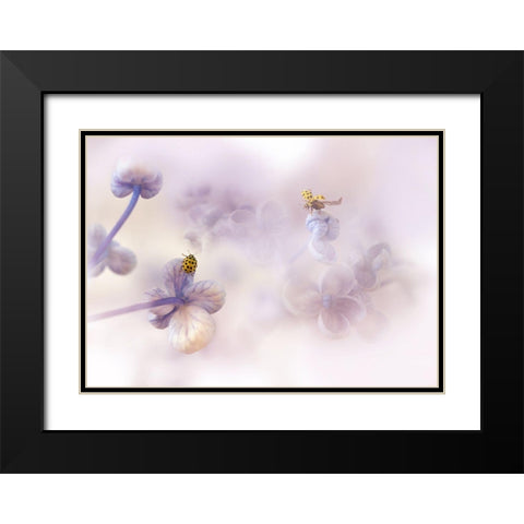 Hello There... Black Modern Wood Framed Art Print with Double Matting by Van Deelen, Ellen