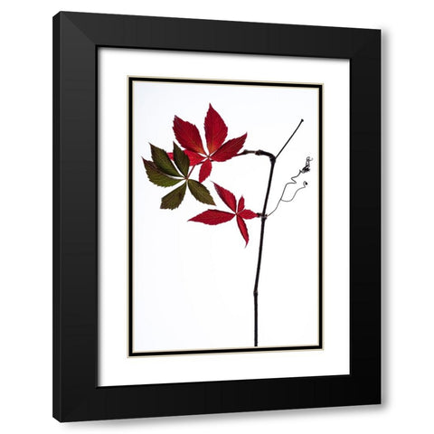 Simple Black Modern Wood Framed Art Print with Double Matting by Lagandre Transgressed, Thierry