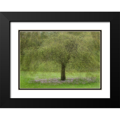 Youth Black Modern Wood Framed Art Print with Double Matting by Holmstrom, Katarina