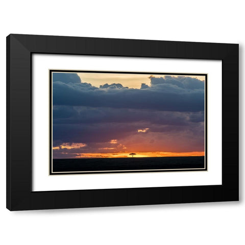 Tree On Fire 2 Black Modern Wood Framed Art Print with Double Matting by C. Sink, Jeffrey