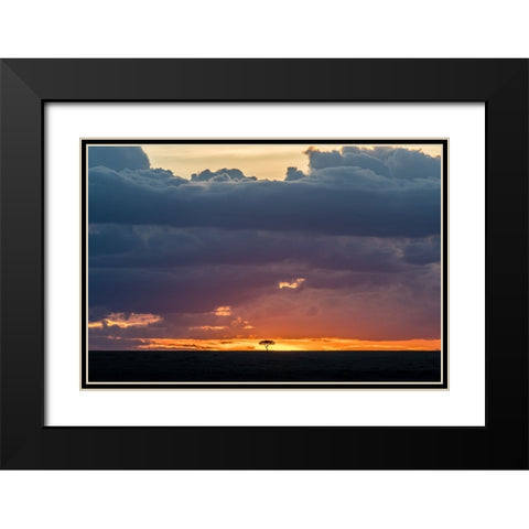 Tree On Fire 2 Black Modern Wood Framed Art Print with Double Matting by C. Sink, Jeffrey
