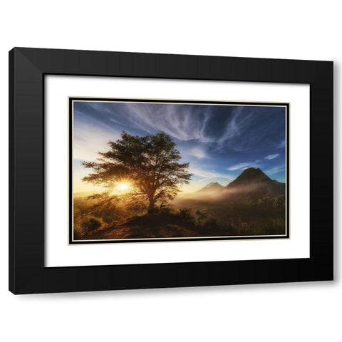Pinggan Tree. Black Modern Wood Framed Art Print with Double Matting by Pablo De, Juan