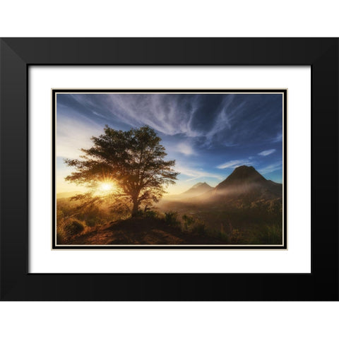 Pinggan Tree. Black Modern Wood Framed Art Print with Double Matting by Pablo De, Juan