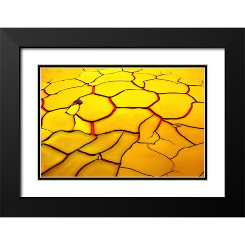 Yellow Ground, Red Heart Black Modern Wood Framed Art Print with Double Matting by De Juan, E.