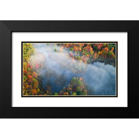 Autumn Symphony I Black Modern Wood Framed Art Print with Double Matting by Fan, John