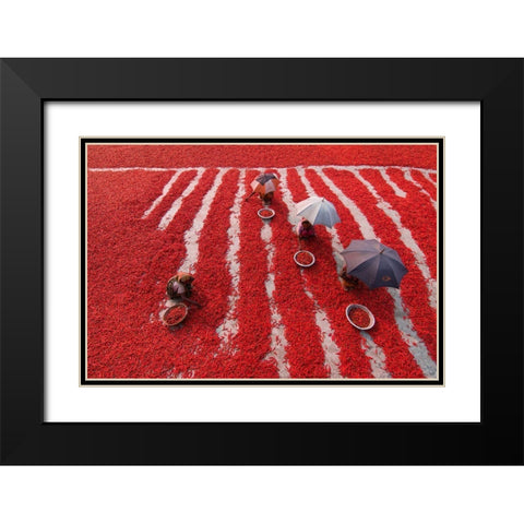 Red Chilies Pickers Black Modern Wood Framed Art Print with Double Matting by Khan Ronnie, Azim