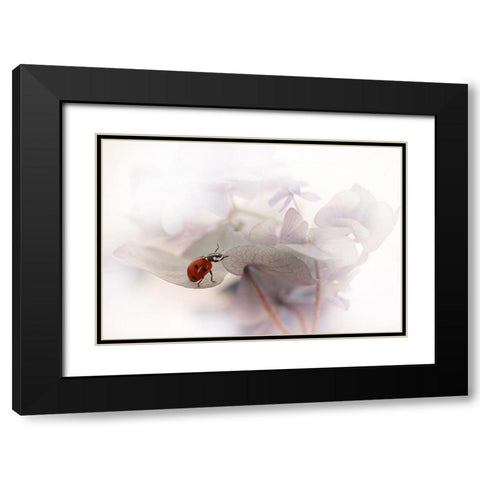 Exercise Black Modern Wood Framed Art Print with Double Matting by Van Deelen, Ellen