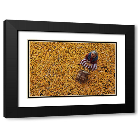Corn Apap Black Modern Wood Framed Art Print with Double Matting by Zengin, Mustafa