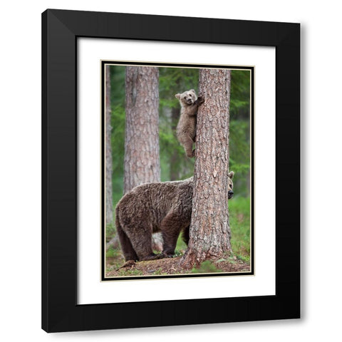 Be Carefully ! Black Modern Wood Framed Art Print with Double Matting by Catta, Alessandro