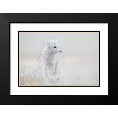 Looking Around Black Modern Wood Framed Art Print with Double Matting by De Hoog, Roelof