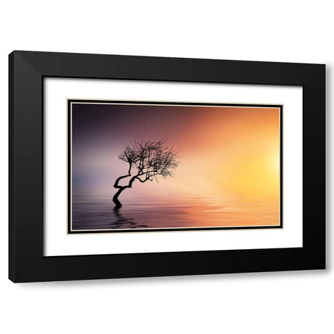 Tree At Lake Black Modern Wood Framed Art Print with Double Matting by Hamiti, Bess