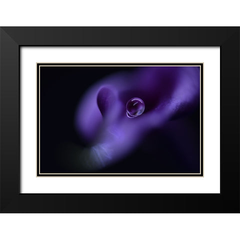 Kalas Pearl Black Modern Wood Framed Art Print with Double Matting by Westum, Heidi