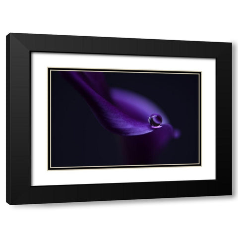 Kalas Pearl LL Black Modern Wood Framed Art Print with Double Matting by Westum, Heidi