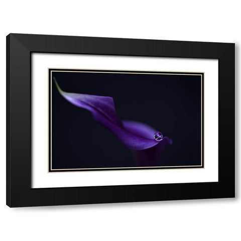 Kala`S Pearl Lll Black Modern Wood Framed Art Print with Double Matting by Westum, Heidi