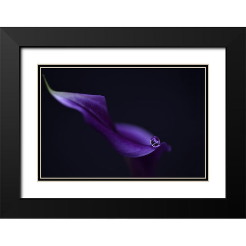 Kala`S Pearl Lll Black Modern Wood Framed Art Print with Double Matting by Westum, Heidi