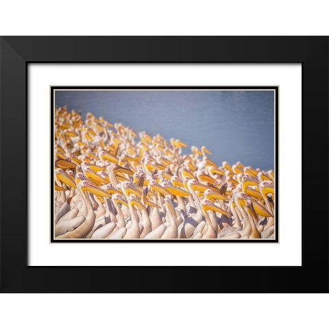 Untitled Black Modern Wood Framed Art Print with Double Matting by Or, Keren