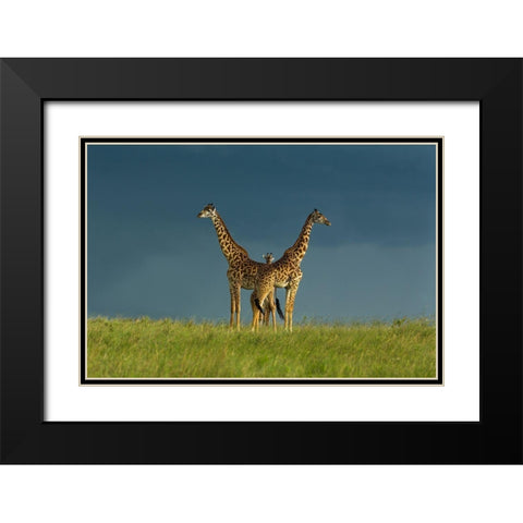 Between The Two Black Modern Wood Framed Art Print with Double Matting by Mei, Massimo