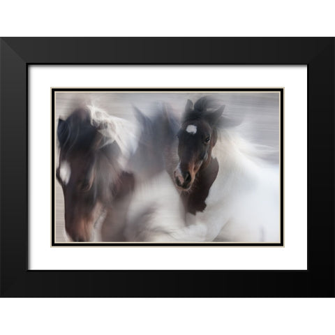 Runaway Horse Black Modern Wood Framed Art Print with Double Matting by Benezech, Martine