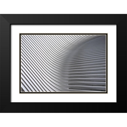Calatrava Curves # 2 Black Modern Wood Framed Art Print with Double Matting by Wride, Linda