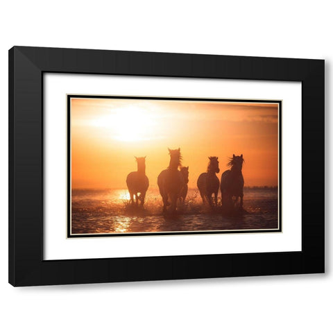 Camargue Angels Black Modern Wood Framed Art Print with Double Matting by Anton, Rostovskiy
