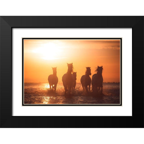Camargue Angels Black Modern Wood Framed Art Print with Double Matting by Anton, Rostovskiy