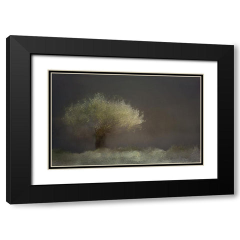 Willow Black Modern Wood Framed Art Print with Double Matting by Talen, Nel
