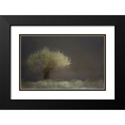Willow Black Modern Wood Framed Art Print with Double Matting by Talen, Nel