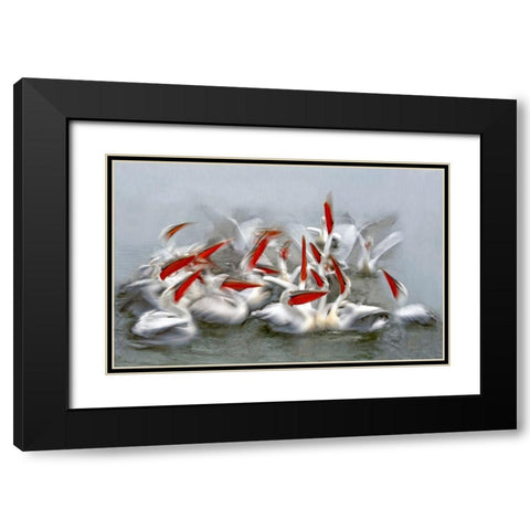 Pelicans In Motion Blur Black Modern Wood Framed Art Print with Double Matting by Ortega, Xavier
