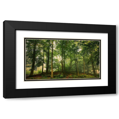 Welcome In The Forest. Black Modern Wood Framed Art Print with Double Matting by Londal, Leif