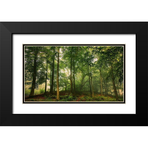 Welcome In The Forest. Black Modern Wood Framed Art Print with Double Matting by Londal, Leif