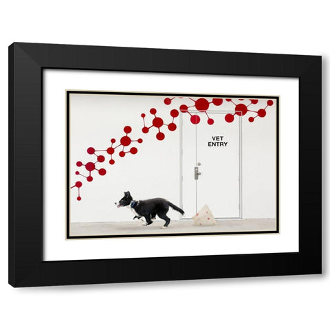 Escape At The Vet Black Modern Wood Framed Art Print with Double Matting by Hammer, Jacqueline