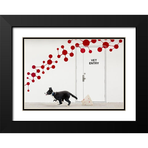 Escape At The Vet Black Modern Wood Framed Art Print with Double Matting by Hammer, Jacqueline