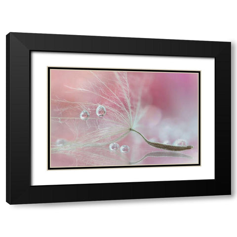 Two Of Us Black Modern Wood Framed Art Print with Double Matting by Barbieri, Rina