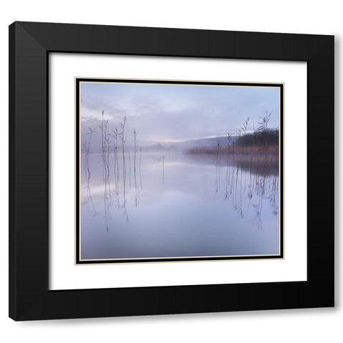 Untitled Black Modern Wood Framed Art Print with Double Matting by Ahern, David