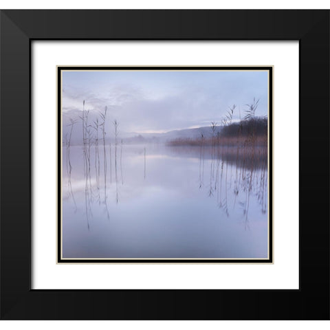 Untitled Black Modern Wood Framed Art Print with Double Matting by Ahern, David