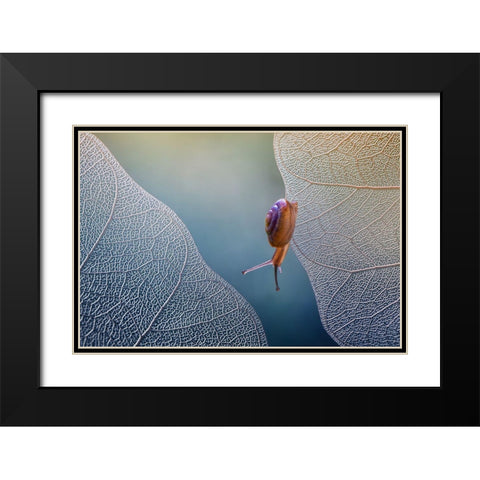 Want To Cross Black Modern Wood Framed Art Print with Double Matting by Baihaki, Ahmad