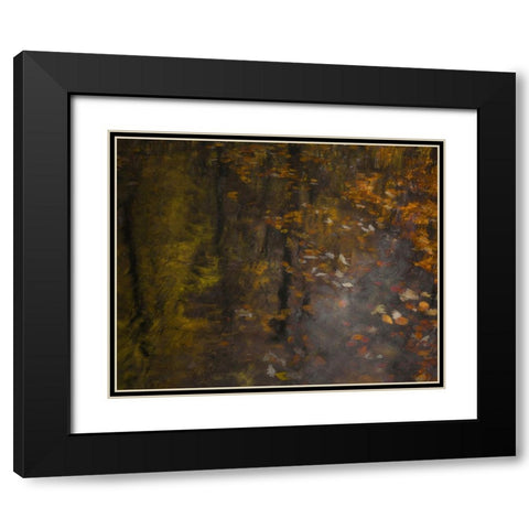 Autumn Impression Black Modern Wood Framed Art Print with Double Matting by Talen, Nel