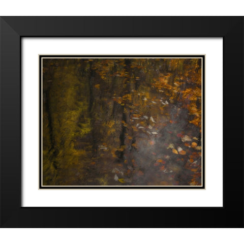 Autumn Impression Black Modern Wood Framed Art Print with Double Matting by Talen, Nel