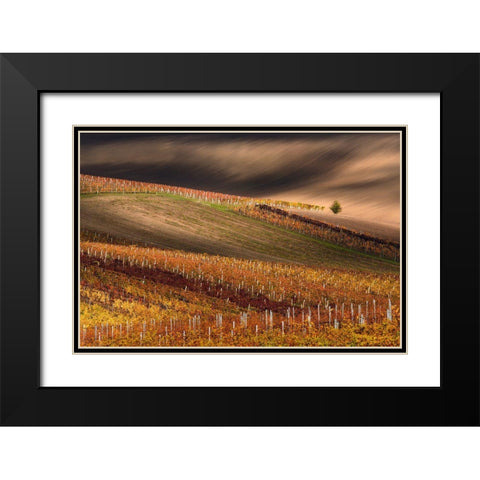 Line And Vine Black Modern Wood Framed Art Print with Double Matting by Sokolovsky, Vlad