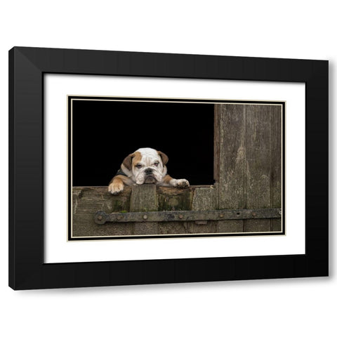 Got That Monday Feeling... Black Modern Wood Framed Art Print with Double Matting by van den, Gert