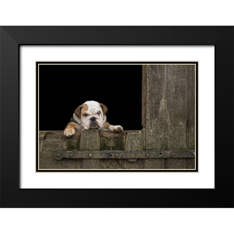 Got That Monday Feeling... Black Modern Wood Framed Art Print with Double Matting by van den, Gert