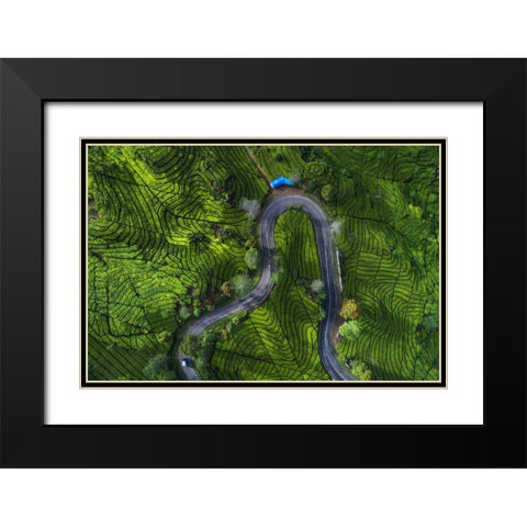 Indonesia - Rancabali Tea Aerial Black Modern Wood Framed Art Print with Double Matting by Claude Castor, Jean