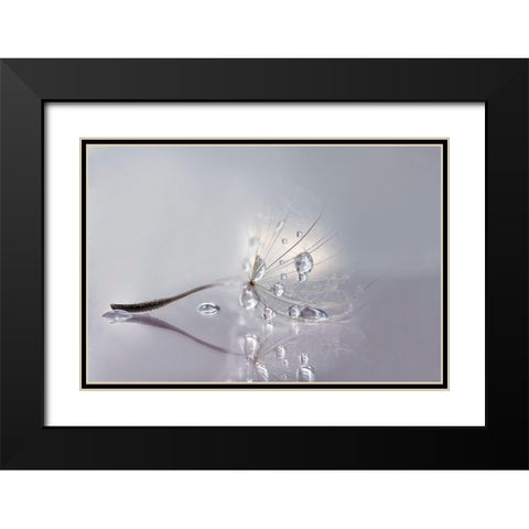 Silver Black Modern Wood Framed Art Print with Double Matting by Barbieri, Rina